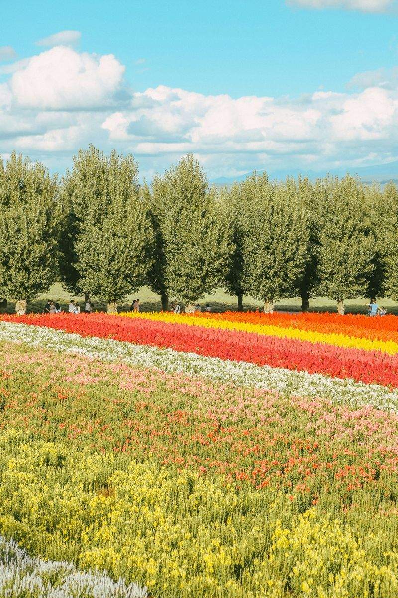 春の庭を整える、植栽と剪定のポイント