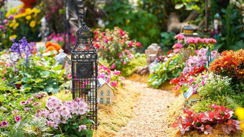 家族向け住宅のためのイラスト的な庭園再編成